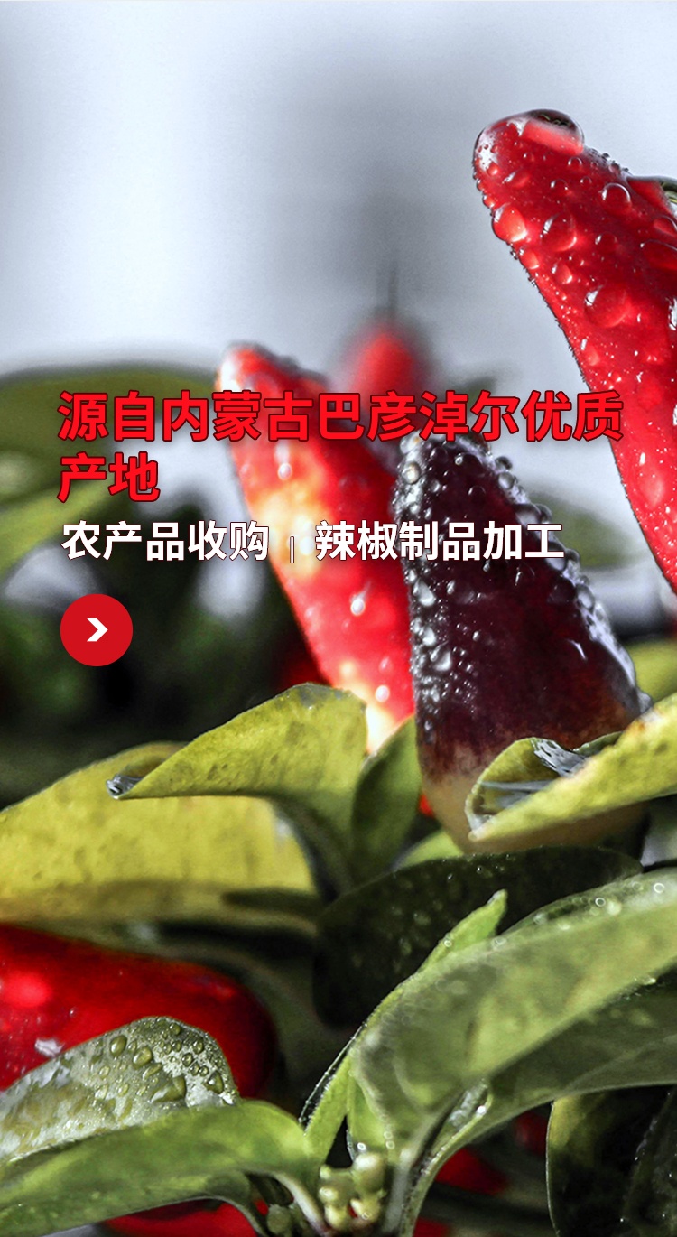 thumb__750x_1370_m_banner03