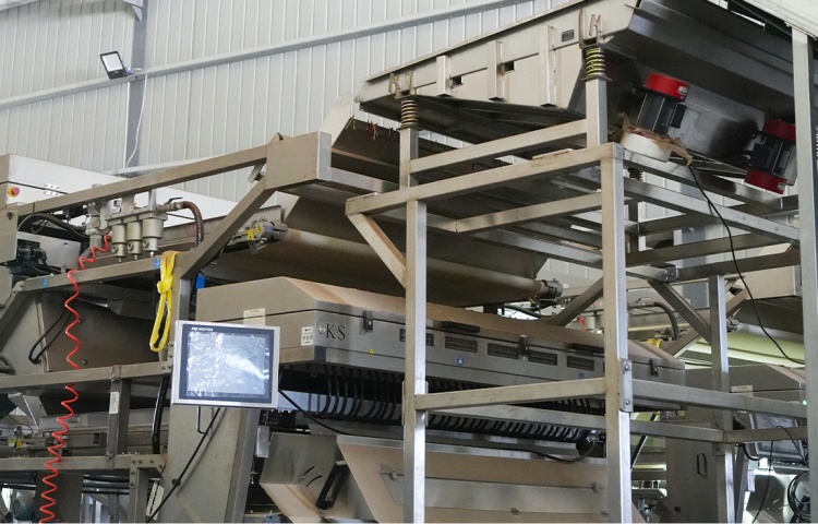 Chili color selection